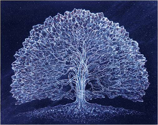 One Path Indigenous Network